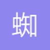 蜘蛛网小虫