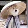 梅西gkd