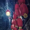 眉州红魔