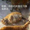 一个不愿意透露姓名的爱国者