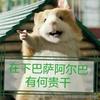 巴萨传奇老将佩德里