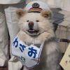 慕朽