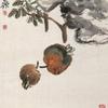 理性球迷儿