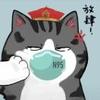男巫不会飞