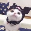 猫小天