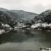 雪夜kop