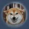 圣T