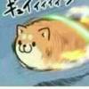 球迷31017981