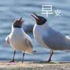 小伙欠拍