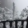 杨惊涛