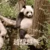温枪手