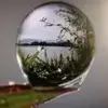 球迷24089484