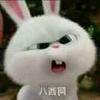 青岛守门员小周3