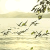 贝克翔