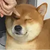 Rsyer