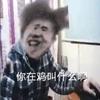 拎包豆