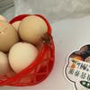 痴与梦