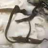 河南建业足球俱乐部主教练李铁