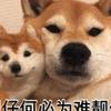 广东卢米埃尔球场小韦9