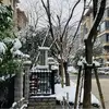 奥斯卡之魂断斯坦福桥