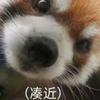 马拉多纳的红豆汤
