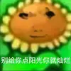 扎西布勒