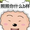 照照你什么b样