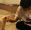 不是马超