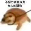 没有名字能取