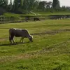 看看时间567