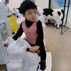 合肥中后卫小叶