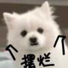 阿森纳别让我失望了