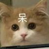 千军避白袍