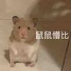 太空野生动物