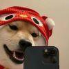 来自星星的伯纳乌