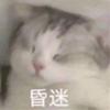 火星冯特奴球场小吴7