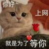 泰山是冠军i