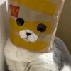 木有鱼丸