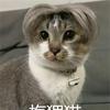 我会铁山靠哟