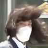 郦兴