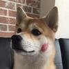 ChiuSheen