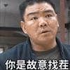 苏米斯特根