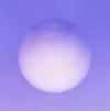 winwinwinD