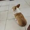 苏宁是真的不如舜天