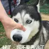 球迷20309247
