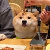 林祥瑞