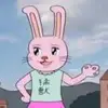 白玫瑰小迪尼