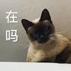 春夜明