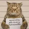 小恶魔之战争