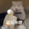 强66666